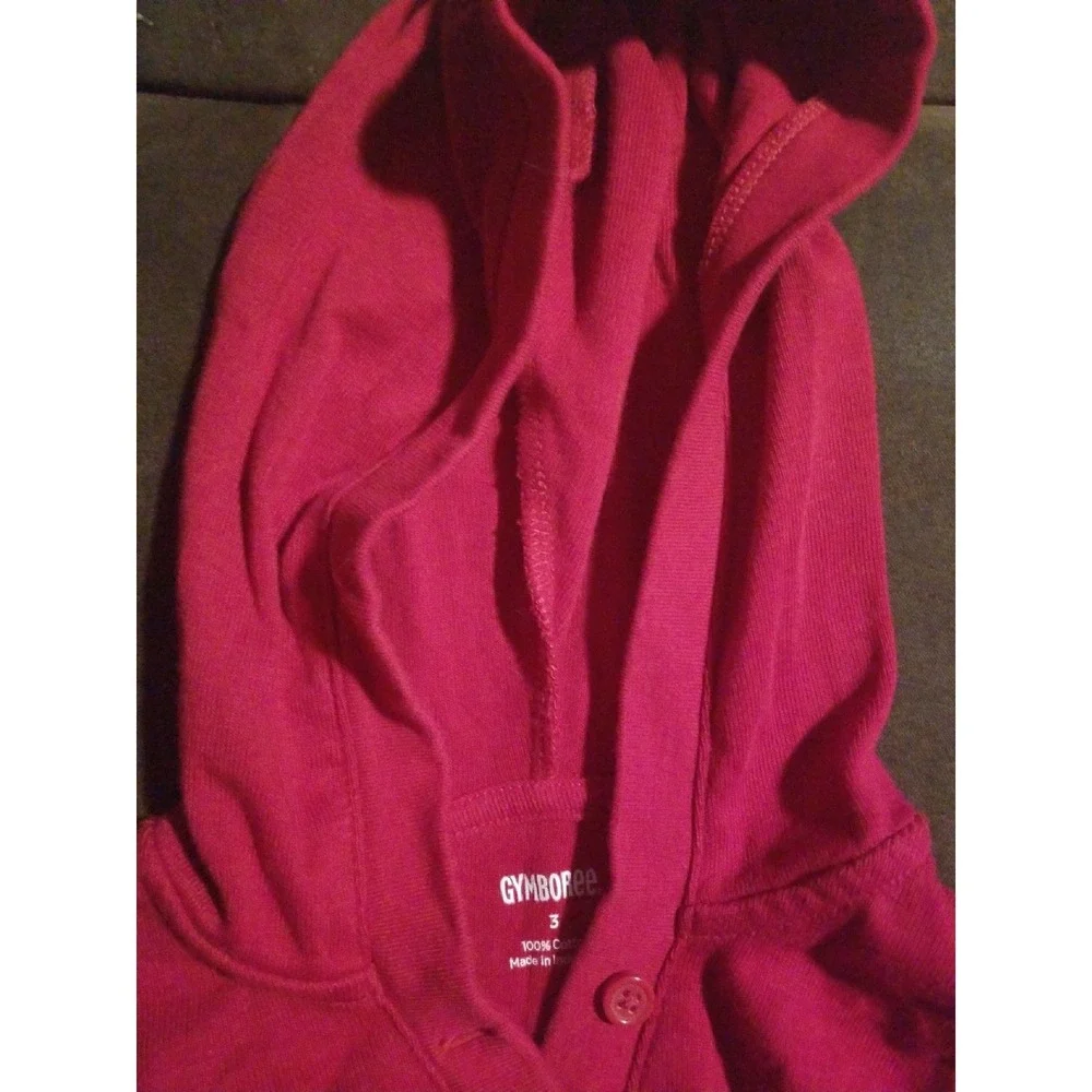 Gymboree alpine sweetie outfit 3‎